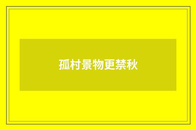 孤村景物更禁秋