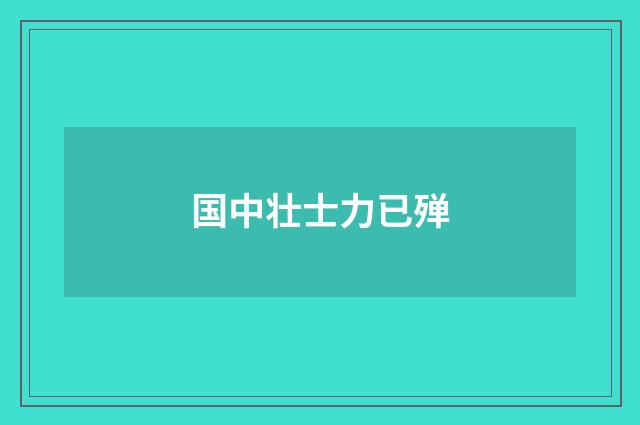国中壮士力已殚