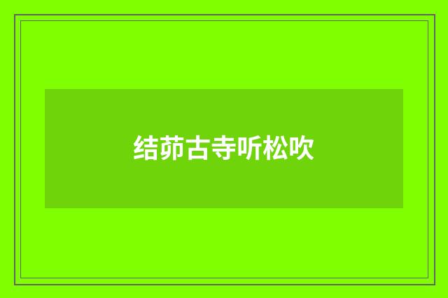 结茆古寺听松吹