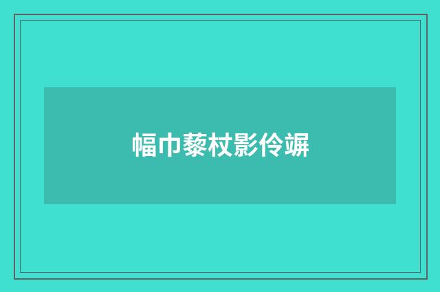 幅巾藜杖影伶竮