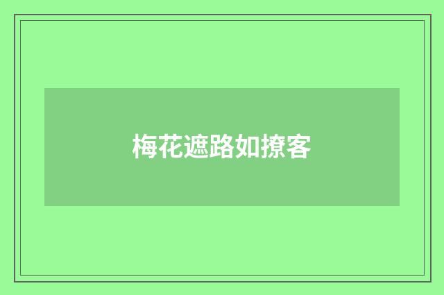 梅花遮路如撩客