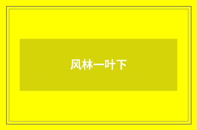 风林一叶下