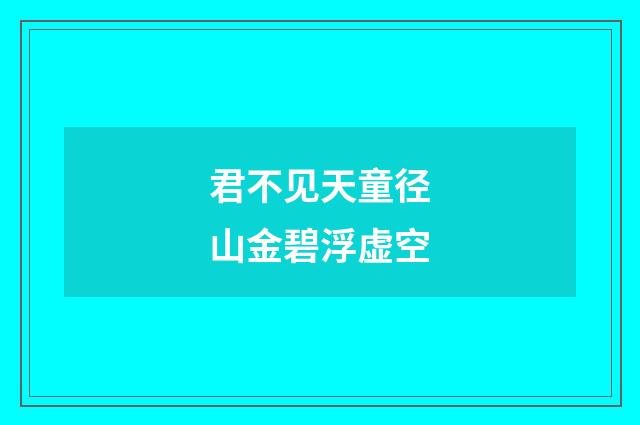 君不见天童径山金碧浮虚空