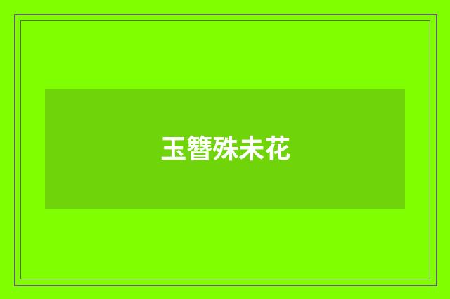玉簪殊未花