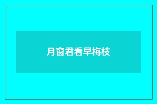 月窗君看早梅枝