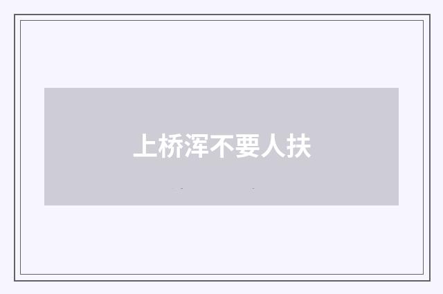 上桥浑不要人扶