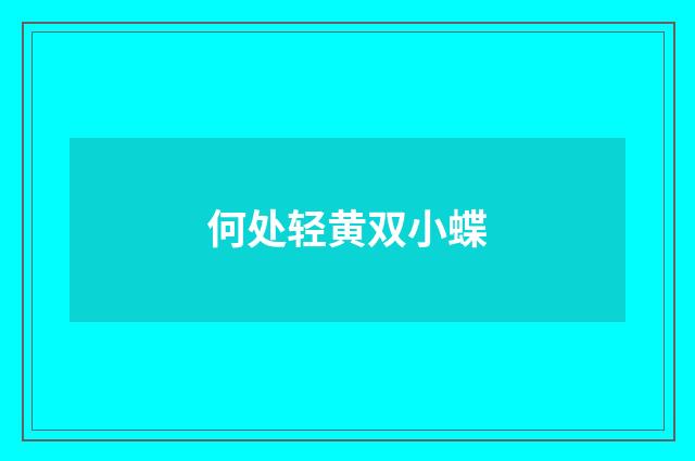 何处轻黄双小蝶