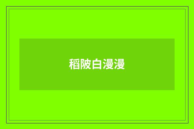 稻陂白漫漫