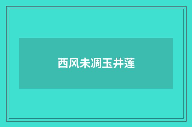 西风未凋玉井莲