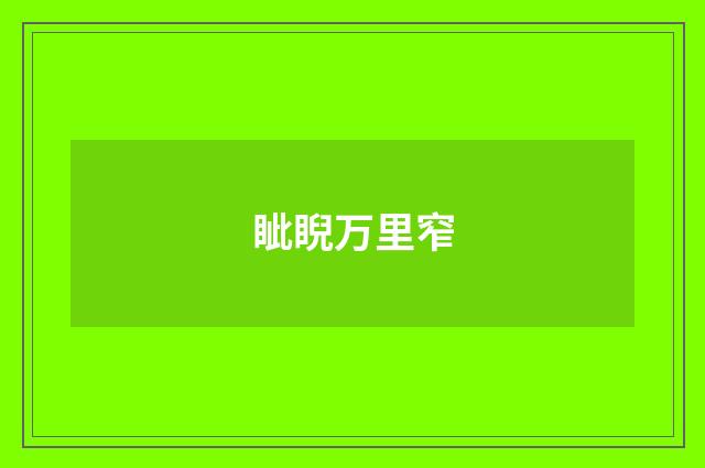 眦睨万里窄