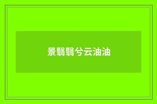 景翳翳兮云油油