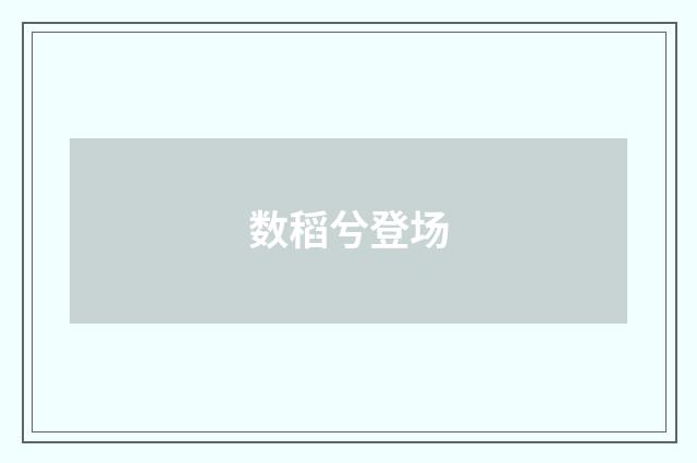 数稻兮登场