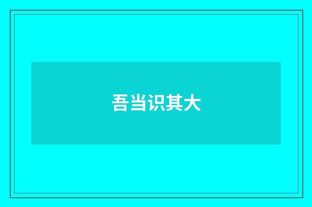 吾当识其大
