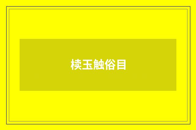 椟玉触俗目