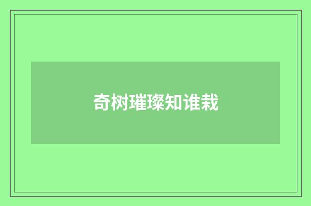 奇树璀璨知谁栽