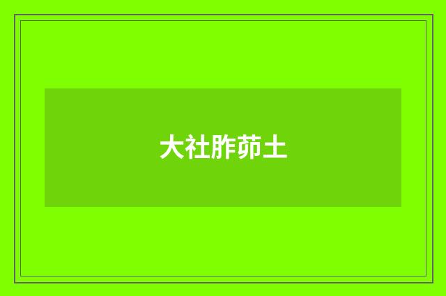 大社胙茆土