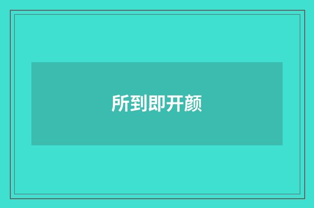 所到即开颜