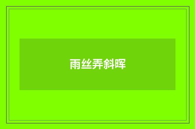 雨丝弄斜晖