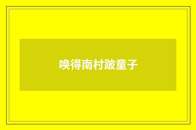 唤得南村跛童子