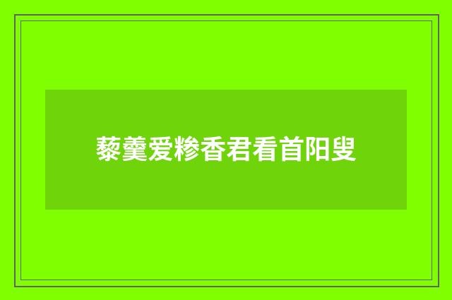 藜羹爱糁香君看首阳叟