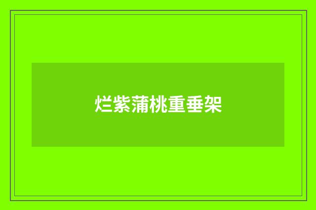 烂紫蒲桃重垂架
