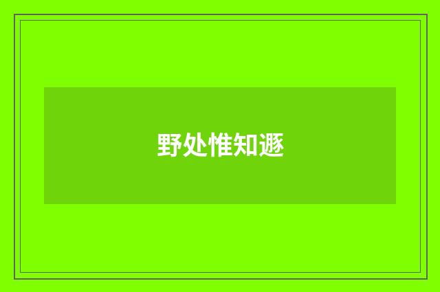 野处惟知遯