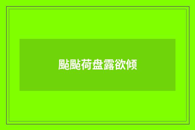 颭颭荷盘露欲倾