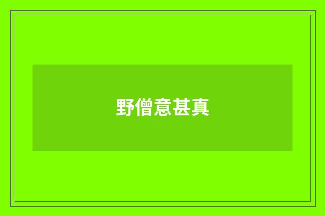 野僧意甚真