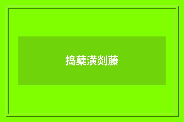 捣蘖潢剡藤