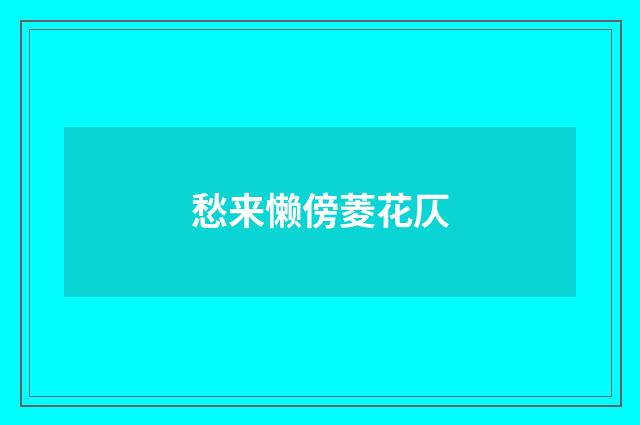 愁来懒傍菱花仄