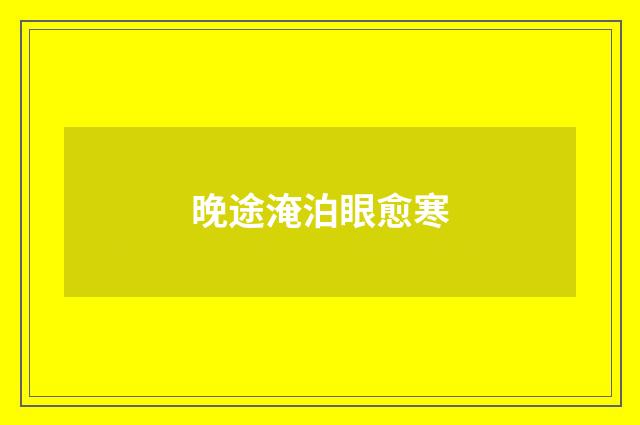 晚途淹泊眼愈寒