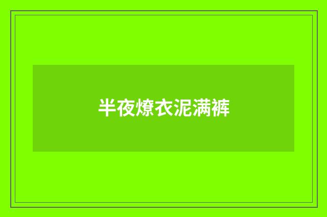 半夜燎衣泥满裤