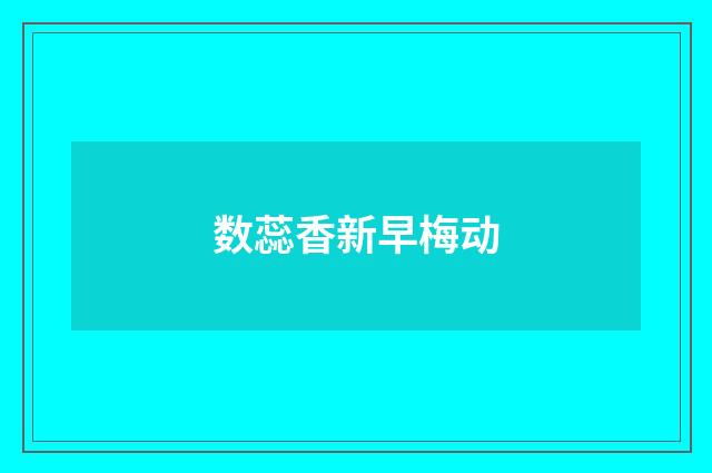 数蕊香新早梅动