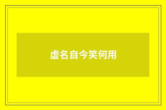 虚名自今笑何用