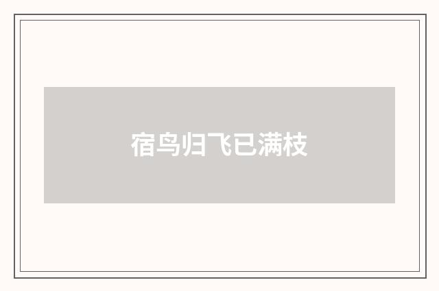 宿鸟归飞已满枝