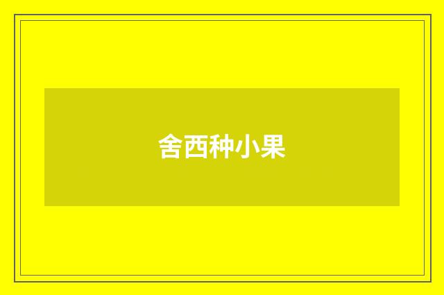 舍西种小果