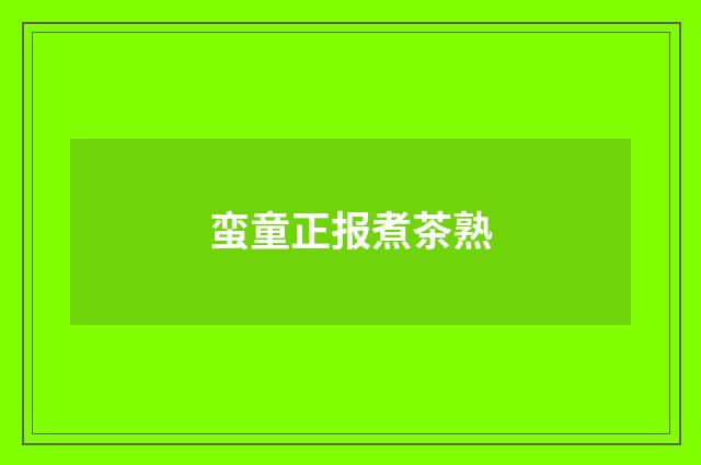 蛮童正报煮茶熟
