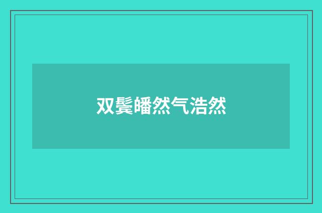 双鬓皤然气浩然
