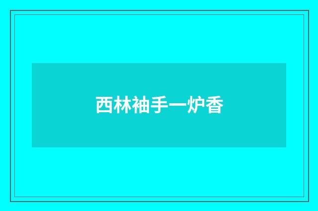 西林袖手一炉香