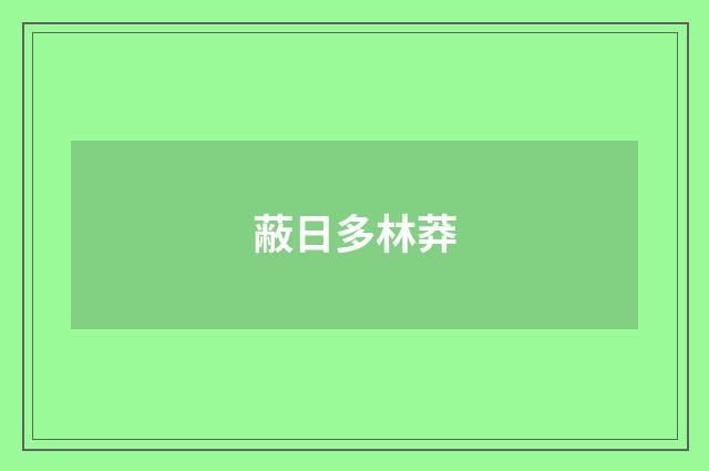 蔽日多林莽