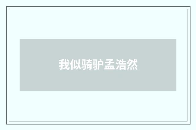 我似骑驴孟浩然