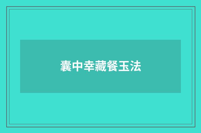 囊中幸藏餐玉法