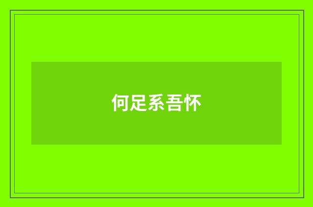 何足系吾怀