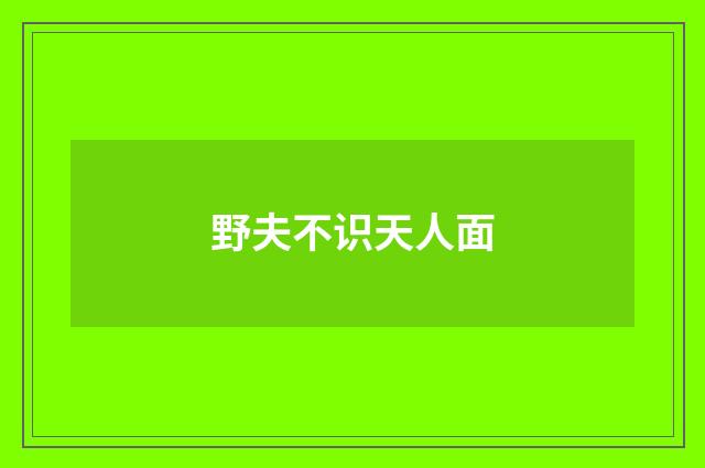 野夫不识天人面
