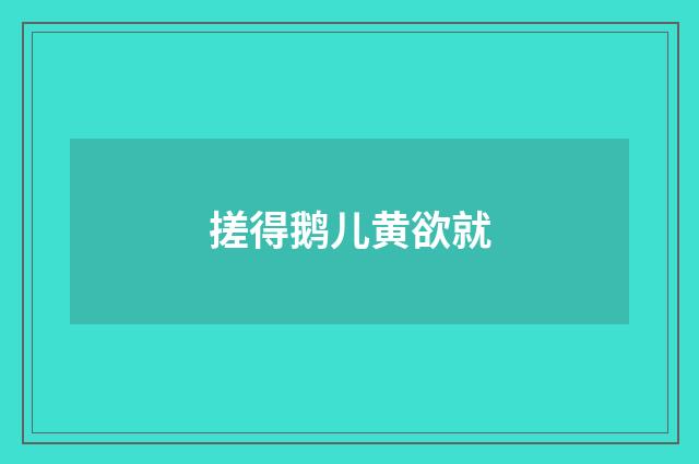 搓得鹅儿黄欲就