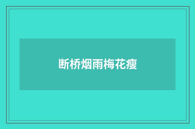 断桥烟雨梅花瘦