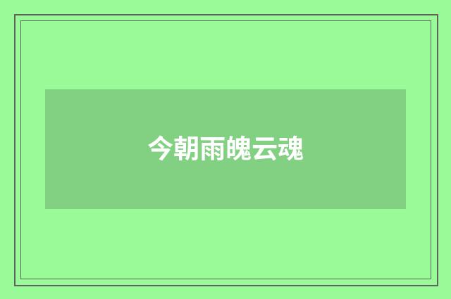 今朝雨魄云魂
