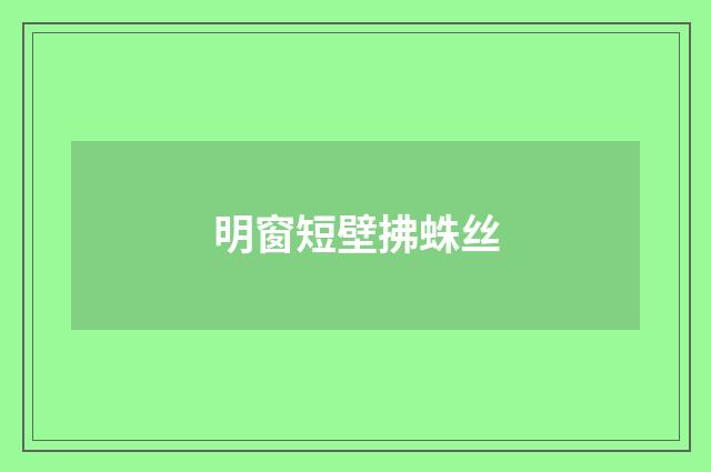 明窗短壁拂蛛丝