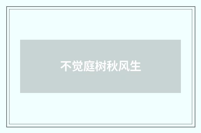 不觉庭树秋风生