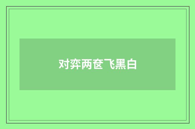 对弈两奁飞黑白